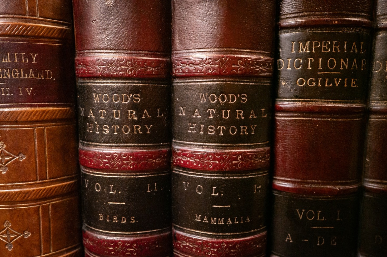 Connecting With Your Past: A Journey Through Time